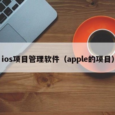 ios项目管理软件（apple的项目）