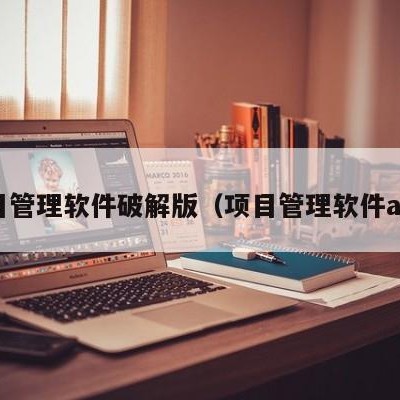 项目管理软件破解版（项目管理软件app）