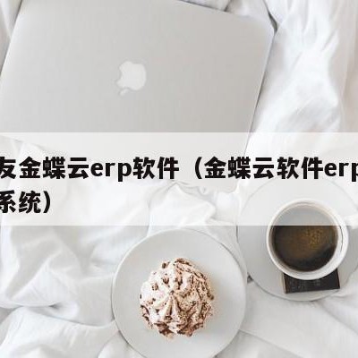 用友金蝶云erp软件（金蝶云软件erp管理系统）