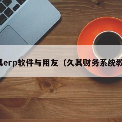 久其erp软件与用友（久其财务系统教程）