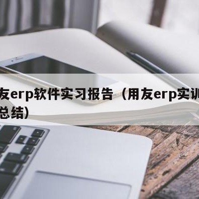 用友erp软件实习报告（用友erp实训报告总结）