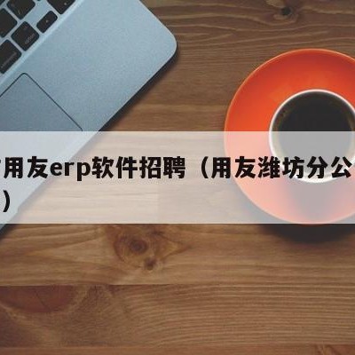 潍坊用友erp软件招聘（用友潍坊分公司怎么样）