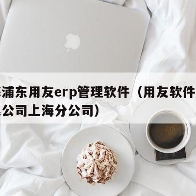 上海浦东用友erp管理软件（用友软件股份有限公司上海分公司）