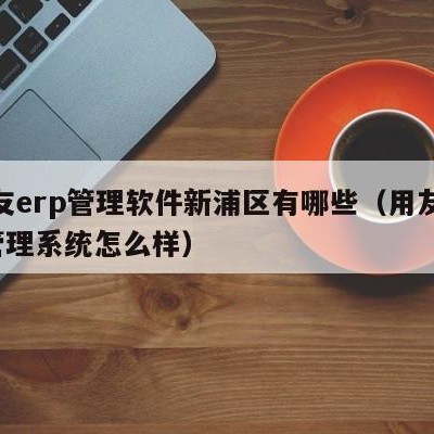 用友erp管理软件新浦区有哪些（用友erp管理系统怎么样）