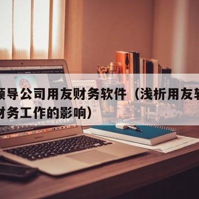 建议领导公司用友财务软件（浅析用友软件对企业财务工作的影响）