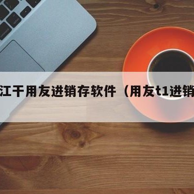 杭州江干用友进销存软件（用友t1进销存软件）