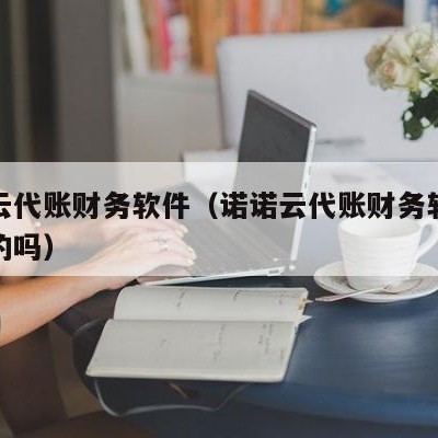 诺诺云代账财务软件（诺诺云代账财务软件是免费的吗）