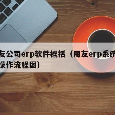 用友公司erp软件概括（用友erp系统管理操作流程图）