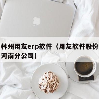 安阳林州用友erp软件（用友软件股份有限公司河南分公司）