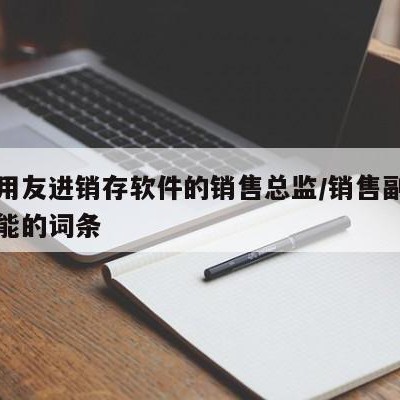 包含用友进销存软件的销售总监/销售副总角色功能的词条