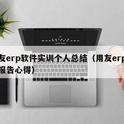 用友erp软件实训个人总结（用友erp实验报告心得）