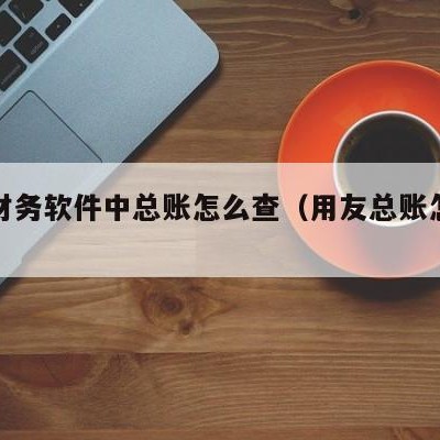 用友财务软件中总账怎么查（用友总账怎么记账）