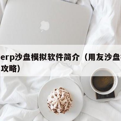 用友erp沙盘模拟软件简介（用友沙盘模拟经营攻略）