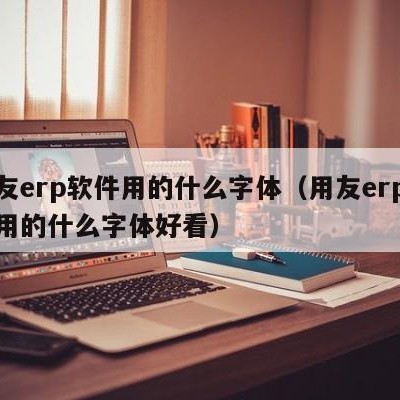 用友erp软件用的什么字体（用友erp软件用的什么字体好看）