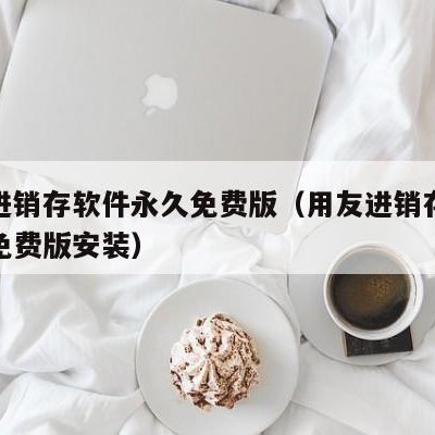 用友进销存软件永久免费版（用友进销存软件永久免费版安装）