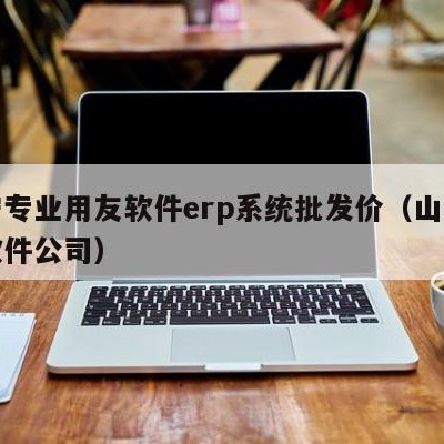 济宁专业用友软件erp系统批发价（山东用友软件公司）