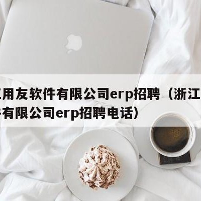 浙江用友软件有限公司erp招聘（浙江用友软件有限公司erp招聘电话）