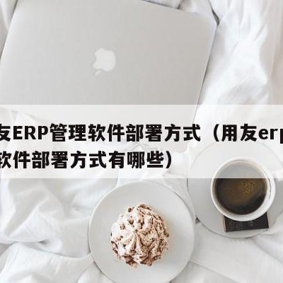 用友ERP管理软件部署方式（用友erp管理软件部署方式有哪些）