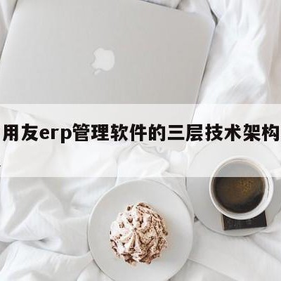 关于用友erp管理软件的三层技术架构师的信息