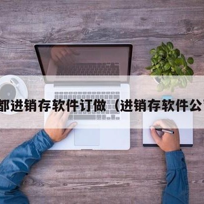 成都进销存软件订做（进销存软件公司）