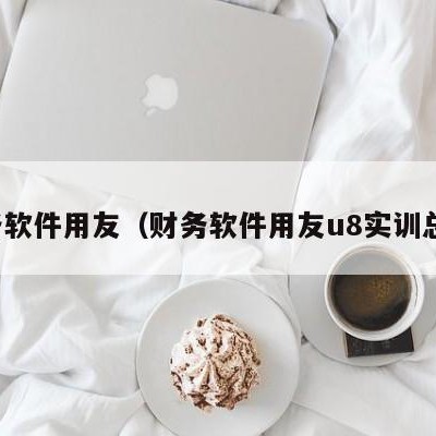 财务软件用友（财务软件用友u8实训总结）