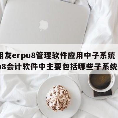 在用友erpu8管理软件应用中子系统（用友u8会计软件中主要包括哪些子系统）