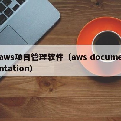 aws项目管理软件（aws documentation）