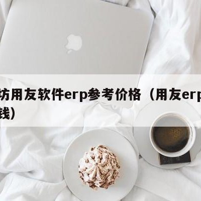 潍坊用友软件erp参考价格（用友erp多少钱）