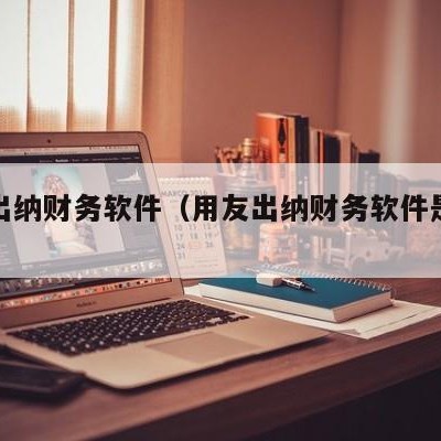 用友出纳财务软件（用友出纳财务软件是什么）