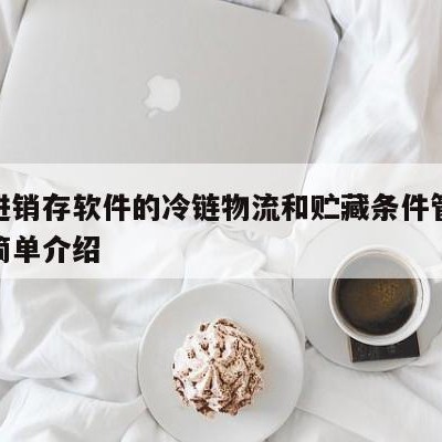 用友进销存软件的冷链物流和贮藏条件管理模块的简单介绍