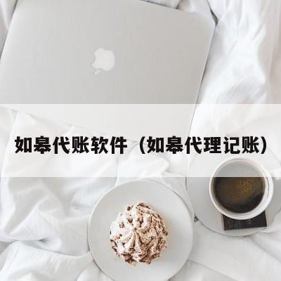 如皋代账软件（如皋代理记账）