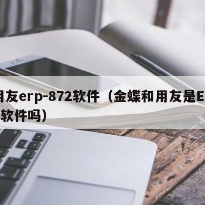 用友erp-872软件（金蝶和用友是ERP软件吗）