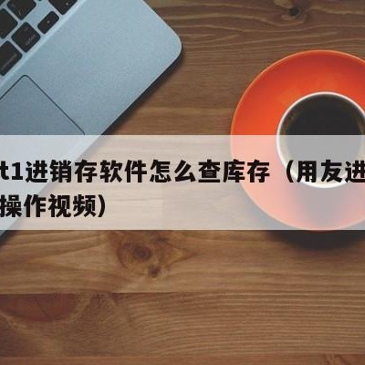 用友t1进销存软件怎么查库存（用友进销存软件操作视频）