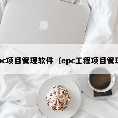 epc项目管理软件（epc工程项目管理）