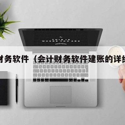 会计财务软件（会计财务软件建账的详细过程）