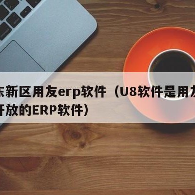 浦东新区用友erp软件（U8软件是用友公司开放的ERP软件）