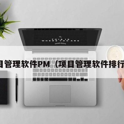 项目管理软件PM（项目管理软件排行榜）