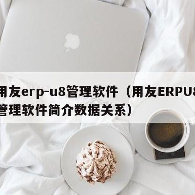 用友erp-u8管理软件（用友ERPU8管理软件简介数据关系）