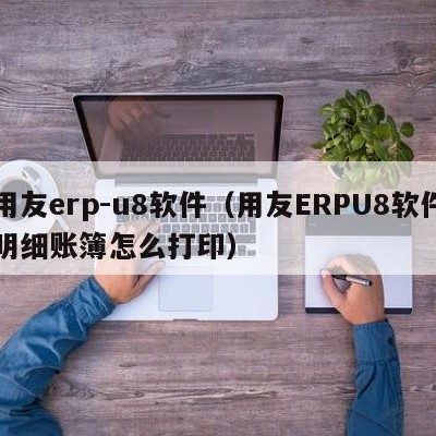 用友erp-u8软件（用友ERPU8软件明细账簿怎么打印）