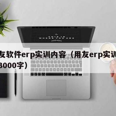 用友软件erp实训内容（用友erp实训心得3000字）