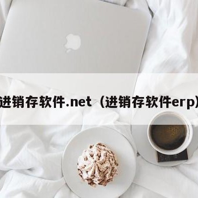 进销存软件.net（进销存软件erp）