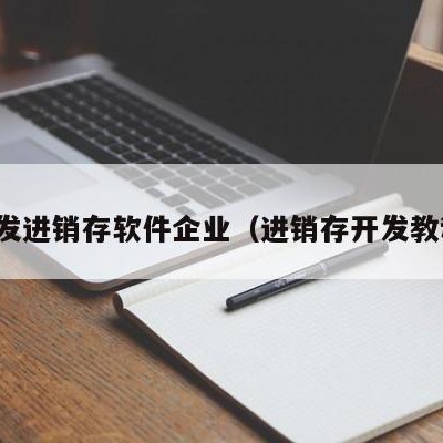 开发进销存软件企业（进销存开发教程）