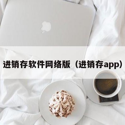 进销存软件网络版（进销存app）