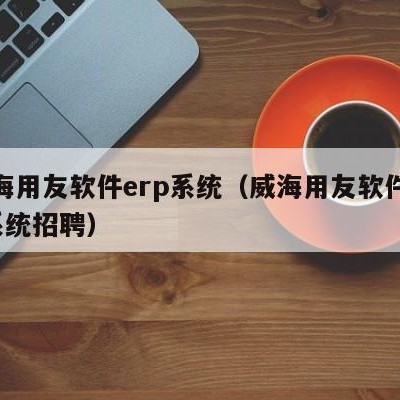 威海用友软件erp系统（威海用友软件erp系统招聘）