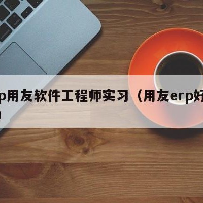 erp用友软件工程师实习（用友erp好学吗）