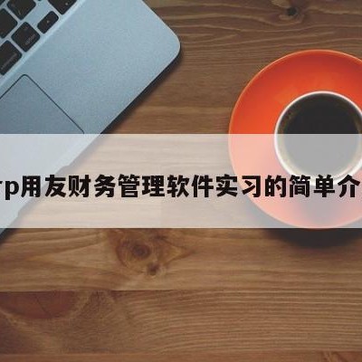 erp用友财务管理软件实习的简单介绍