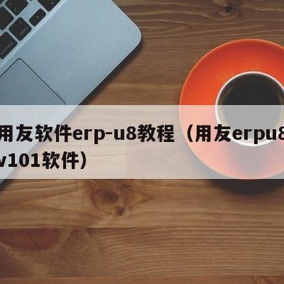 用友软件erp-u8教程（用友erpu8v101软件）