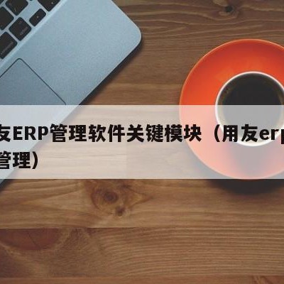 用友ERP管理软件关键模块（用友erp系统管理）