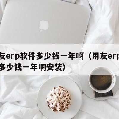 用友erp软件多少钱一年啊（用友erp软件多少钱一年啊安装）