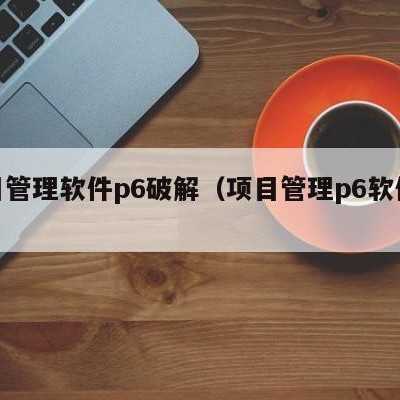 项目管理软件p6破解（项目管理p6软件价格）